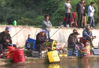 《黑坑江湖》第六季09 杭州黑坑行 体验鲫鱼塘 [视频]