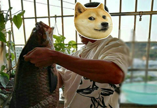 青鱼有多重,鱼石有多大!