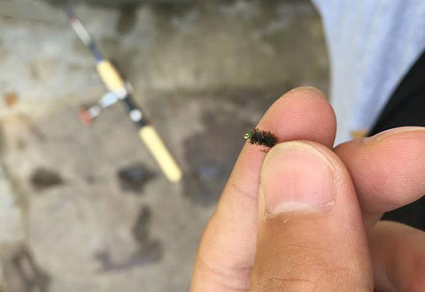 如何正确使用路亚飞蝇钓白条?钓组详细解说