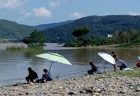 澜沧江边野钓，上一尾鲳鱼