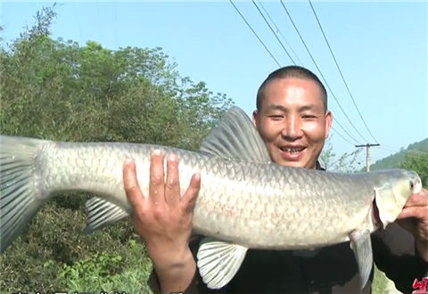 《黑坑江湖 》第六季20 祥宏农庄大物 [视频]