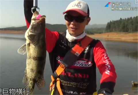 探路米兰达20171114期：郴州鳜鱼爆钓行 [视频]