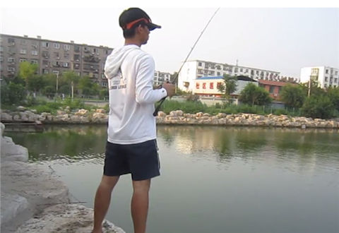 小松路亚 亮水用铅头钩路亚黑鱼 [视频]
