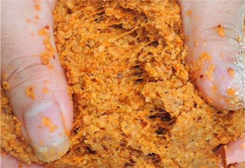 这款钓草鱼佳饵让你轻松上鱼