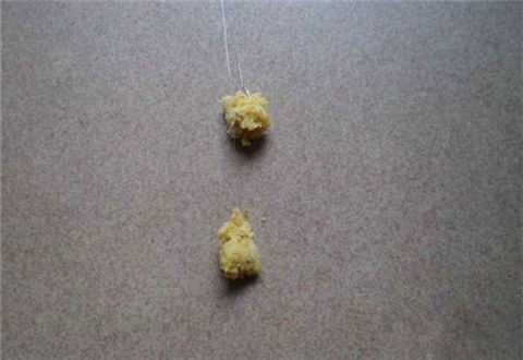 拉饵的调制方法及拉饵技巧