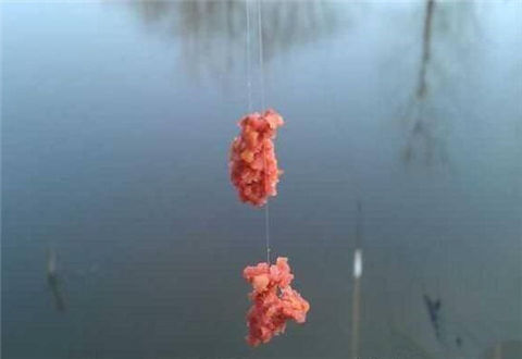 冬天用虫饵还是用拉饵比较好？