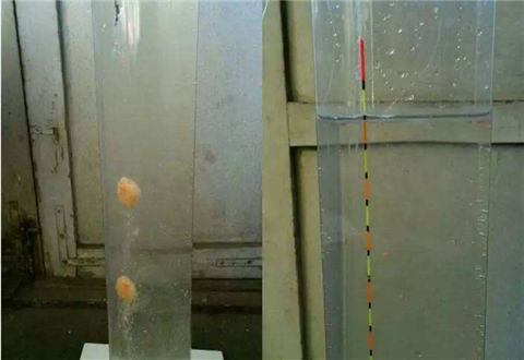 野钓鲫鱼调漂的3个简单技巧
