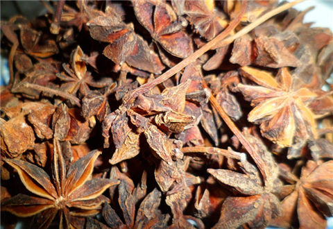 高手自制钓鱼小药配方,可诱鱼也可泡酒米