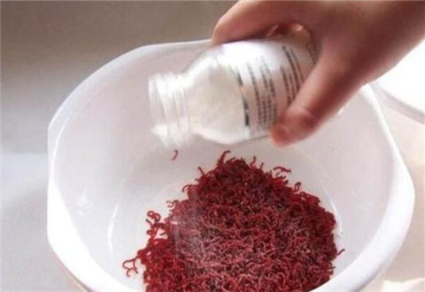 红虫钓鱼怎么挂钩？纯红虫拉饵法