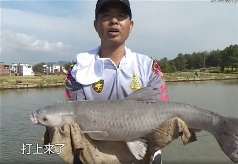 《涉钓英雄传》江西初春狩大青鱼 [视频]
