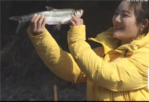 《江湖行》秘钓柘林湖 偶遇大翘嘴 [视频]