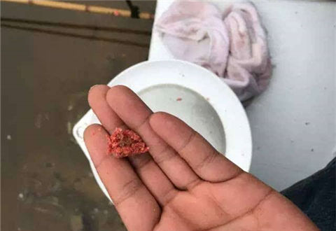 搓饵和拉饵的区别，搓饵有什么优点？