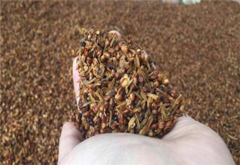 4种天然添加剂,钓鱼小药不一定要买