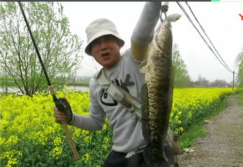 三耳鱼的黑鱼世界 2018春季雷强之七 [视频]