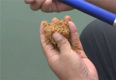 配饵开饵的基本原则，老钓手分享