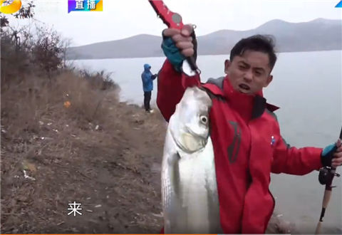 鱼资渔味20180329期：路亚钓手“小汐”再探蚌埠 爆钓翘嘴 [视频]