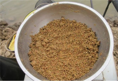 黑坑最怕的3种饵料,坑冠是你了