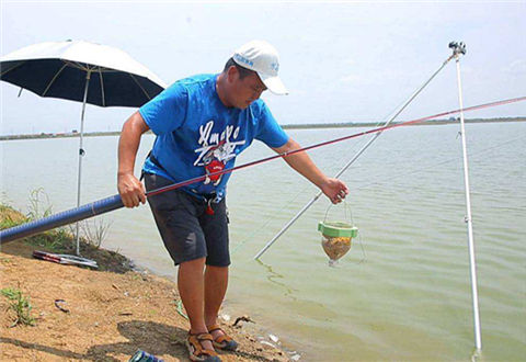 钓鱼怎么打窝?这些要点钓鱼人一定要知道