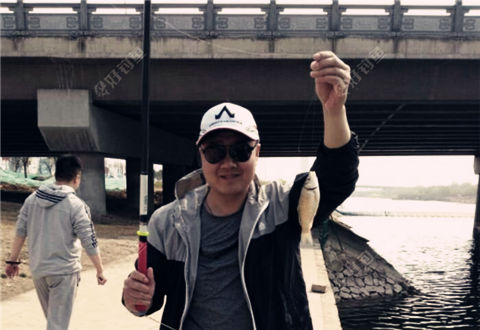 护城河飞斤鲫，大泥鳅来报道