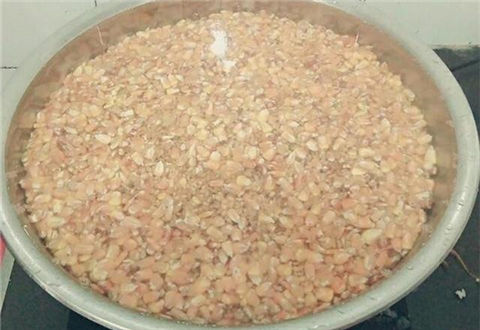 春季钓鲤鱼,就用这种玉米窝料打窝