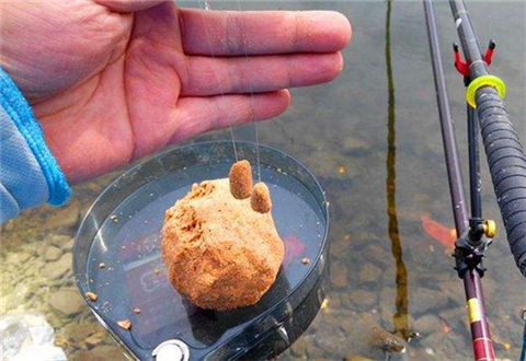 钓鲤鱼饵料怎么用效果才最好？