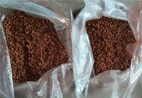 钓鲫鱼用什么打窝？自制窝料实惠又好用