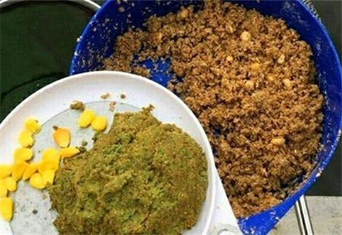 钓鱼该不该用小药？小药怎么用？