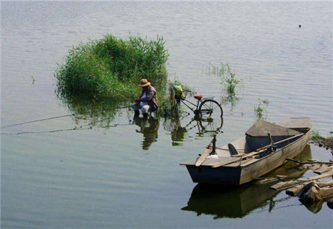 江河流水怎么钓鱼？打窝用饵钓法技巧