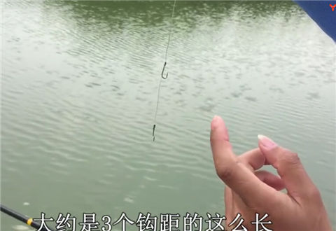 户外老曹 用手竿怎么把翘嘴钓上来 [视频]