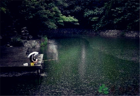 夏季雨天钓鱼,该如何选钓位?