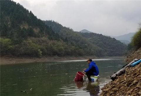 钓鲫鱼早中晚垂钓深度不一，怎么选钓位？