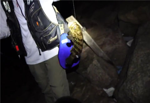 海钓出游纪行 珠海桂山岛防波堤夜钓石斑鱼 [视频]