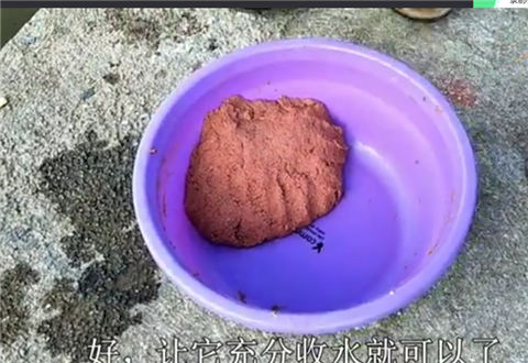 户外老曹 钓罗非鱼, 这么开饵效果好! 要会灵活运用 [视频]