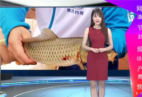 饵目一新第104 草鱼饵料搭配 [视频]