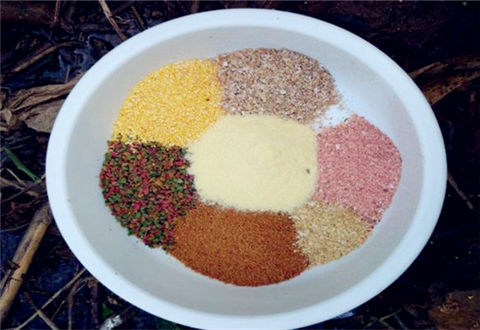 钓鱼拉饵,这5个环节才是重中之重