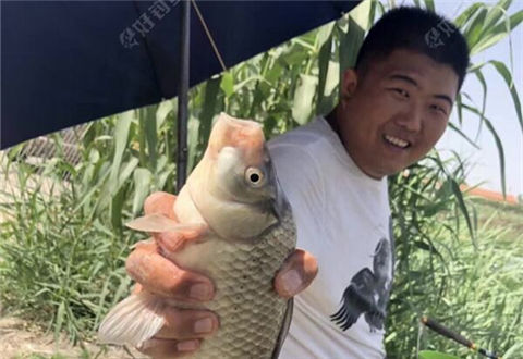 钓到一半起大风，全程闹白条，我只想奔着大鲫鱼去啊！