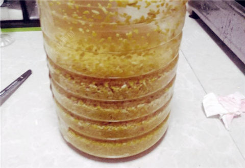 自制一款速成窝料,专钓大鲫大鲤
