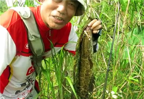三耳鱼的黑鱼世界 2018夏季雷强之十二 [视频]