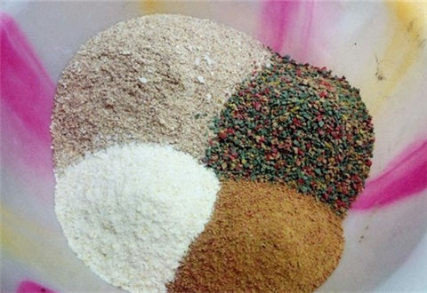 黑坑钓鲤鱼必备的一款商品饵配方