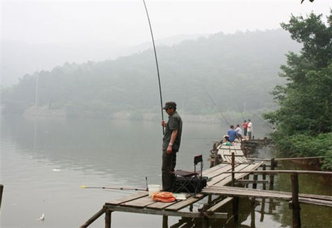 夏季钓鱼注意做这些变化,渔获自然少不了