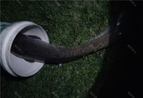 炎炎夏日适夜钓,玉米颗粒又获大塘鲺