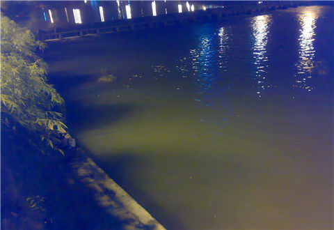 夏季夜钓,要怎么选钓位才能上大鱼
