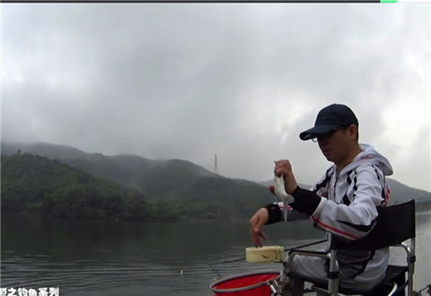 麦子钓鱼 钓鱼实战之鳊鱼闹窝终擒草 [视频]