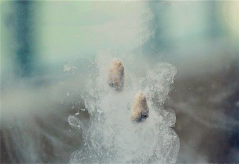 作为饵料雾化好帮手的轻麸和雪花粉有何区别
