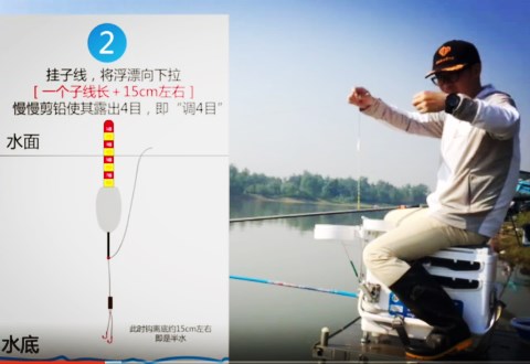 白条杀手 野钓调漂直播教学，图解+视频讲解，直观易学 [视频]
