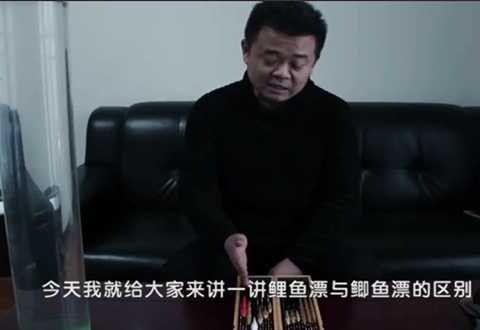 渔课堂 鲫鱼漂与鲤鱼漂，不可混用 [视频]