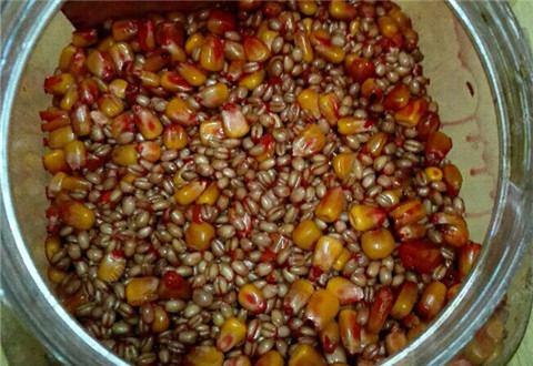 专钓鲫鱼鲤鱼无敌饵料,还不惹小鱼闹窝