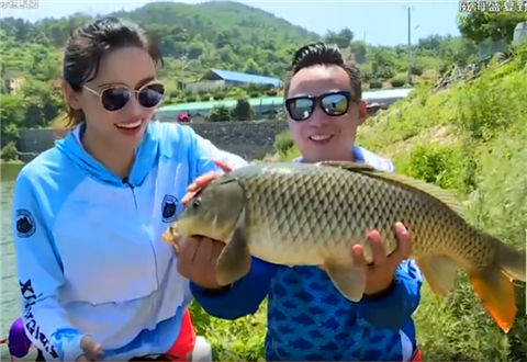 就这样钓鱼 北方盛夏水库钓鲤鱼技巧  [视频]