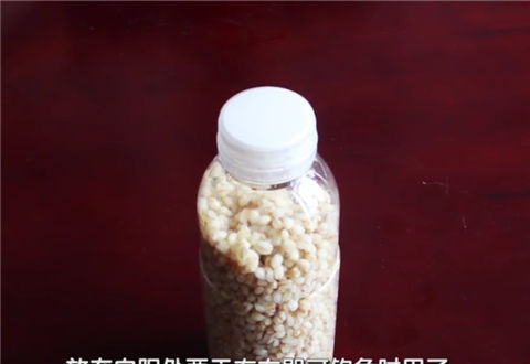 渔课堂 野钓鲫鱼鲤鱼的自制小麦饵配法 [视频]