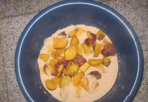 水库钓鱼的饵料搭配,用了就没空军过
